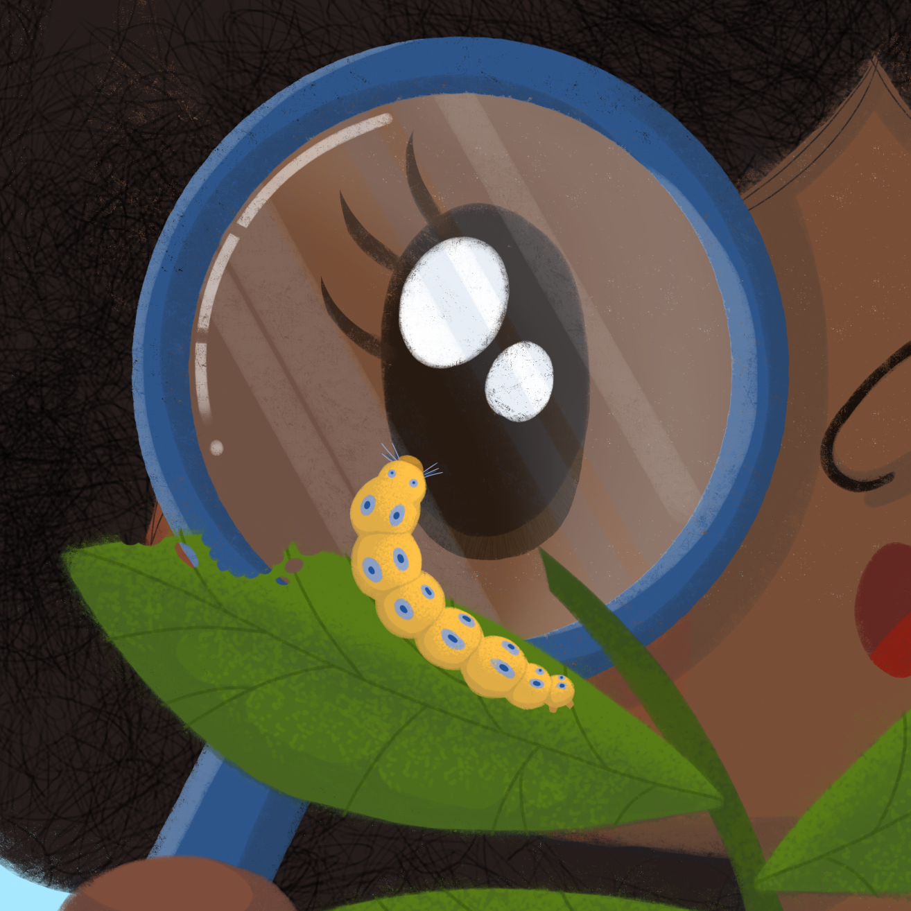 Little Jefferson Collection